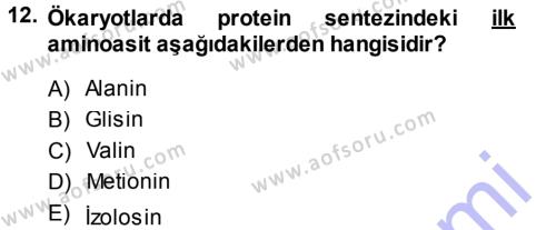 Temel Veteriner Genetik Dersi 2013 - 2014 Yılı (Final) Dönem Sonu Sınavı 12. Soru