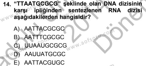 Temel Veteriner Genetik Dersi 2014 - 2015 Yılı (Final) Dönem Sonu Sınavı 14. Soru