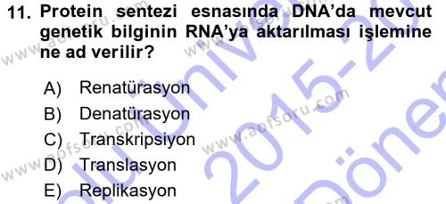Temel Veteriner Genetik Dersi 2015 - 2016 Yılı (Final) Dönem Sonu Sınavı 11. Soru