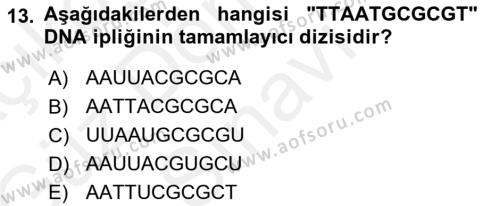 Temel Veteriner Genetik Dersi 2018 - 2019 Yılı (Final) Dönem Sonu Sınavı 13. Soru
