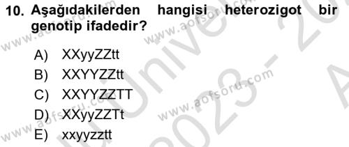 Temel Veteriner Genetik Dersi 2023 - 2024 Yılı (Vize) Ara Sınavı 10. Soru