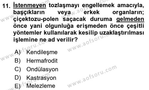 Temel Veteriner Genetik Dersi 2023 - 2024 Yılı (Vize) Ara Sınavı 11. Soru