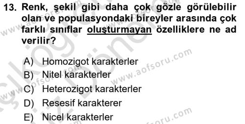 Temel Veteriner Genetik Dersi 2023 - 2024 Yılı (Vize) Ara Sınavı 13. Soru