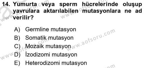 Temel Veteriner Genetik Dersi 2023 - 2024 Yılı (Vize) Ara Sınavı 14. Soru