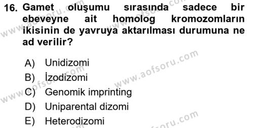 Temel Veteriner Genetik Dersi 2023 - 2024 Yılı (Vize) Ara Sınavı 16. Soru