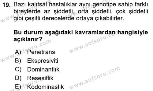 Temel Veteriner Genetik Dersi 2023 - 2024 Yılı (Vize) Ara Sınavı 19. Soru