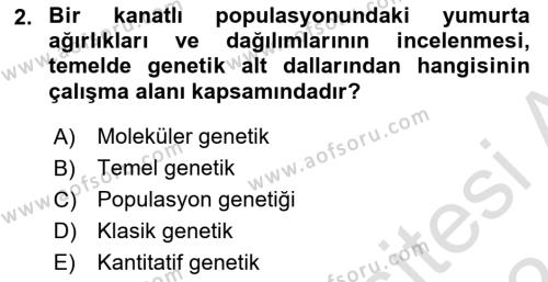 Temel Veteriner Genetik Dersi 2023 - 2024 Yılı (Vize) Ara Sınavı 2. Soru