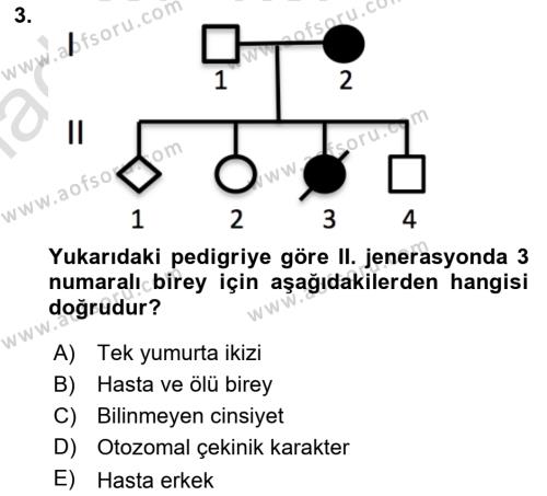 Temel Veteriner Genetik Dersi 2023 - 2024 Yılı (Vize) Ara Sınavı 3. Soru