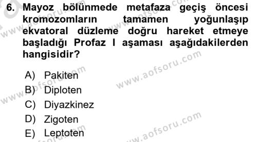 Temel Veteriner Genetik Dersi 2023 - 2024 Yılı (Vize) Ara Sınavı 6. Soru