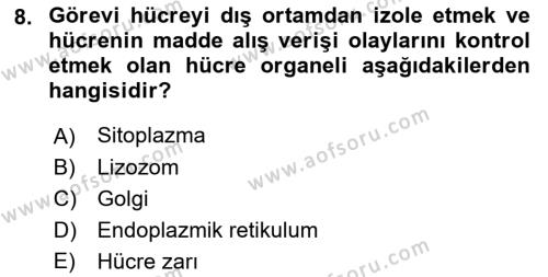 Temel Veteriner Genetik Dersi 2023 - 2024 Yılı (Vize) Ara Sınavı 8. Soru