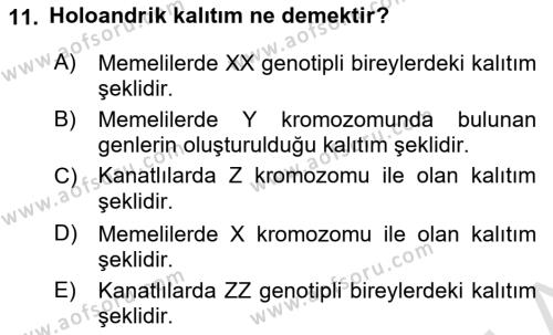 Temel Veteriner Genetik Dersi 2023 - 2024 Yılı Yaz Okulu Sınavı 11. Soru