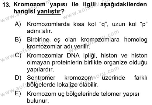 Temel Veteriner Genetik Dersi 2023 - 2024 Yılı Yaz Okulu Sınavı 13. Soru