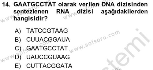 Temel Veteriner Genetik Dersi 2023 - 2024 Yılı Yaz Okulu Sınavı 14. Soru