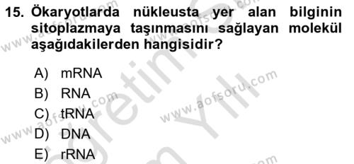 Temel Veteriner Genetik Dersi 2023 - 2024 Yılı Yaz Okulu Sınavı 15. Soru