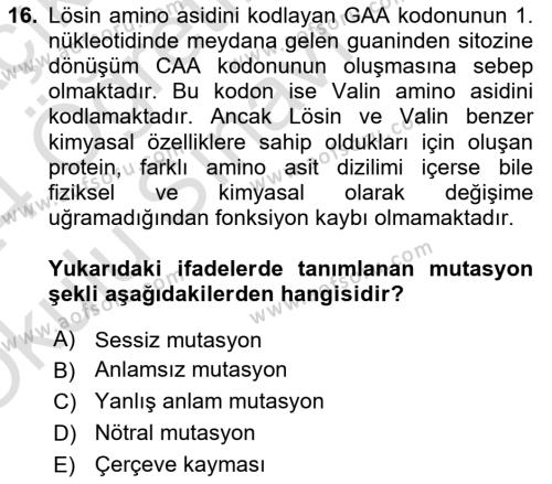 Temel Veteriner Genetik Dersi 2023 - 2024 Yılı Yaz Okulu Sınavı 16. Soru