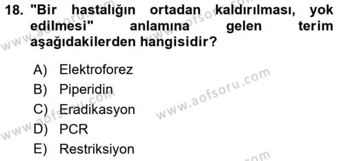 Temel Veteriner Genetik Dersi 2023 - 2024 Yılı Yaz Okulu Sınavı 18. Soru