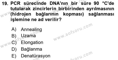 Temel Veteriner Genetik Dersi 2023 - 2024 Yılı Yaz Okulu Sınavı 19. Soru