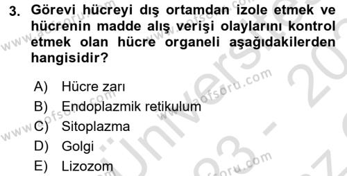 Temel Veteriner Genetik Dersi 2023 - 2024 Yılı Yaz Okulu Sınavı 3. Soru