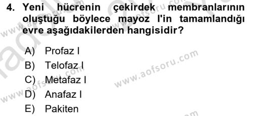 Temel Veteriner Genetik Dersi 2023 - 2024 Yılı Yaz Okulu Sınavı 4. Soru