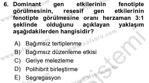 Temel Veteriner Genetik Dersi 2023 - 2024 Yılı Yaz Okulu Sınavı 6. Soru