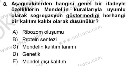 Temel Veteriner Genetik Dersi 2023 - 2024 Yılı Yaz Okulu Sınavı 8. Soru