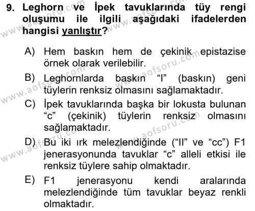 Temel Veteriner Genetik Dersi 2023 - 2024 Yılı Yaz Okulu Sınavı 9. Soru