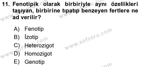 Temel Veteriner Genetik Dersi 2024 - 2025 Yılı (Vize) Ara Sınavı 11. Soru