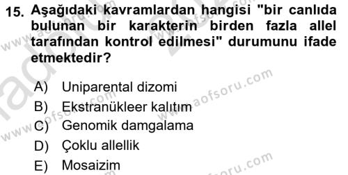 Temel Veteriner Genetik Dersi 2024 - 2025 Yılı (Vize) Ara Sınavı 15. Soru