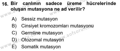 Temel Veteriner Genetik Dersi 2024 - 2025 Yılı (Vize) Ara Sınavı 16. Soru