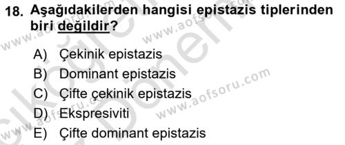 Temel Veteriner Genetik Dersi 2024 - 2025 Yılı (Vize) Ara Sınavı 18. Soru