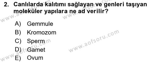 Temel Veteriner Genetik Dersi 2024 - 2025 Yılı (Vize) Ara Sınavı 2. Soru