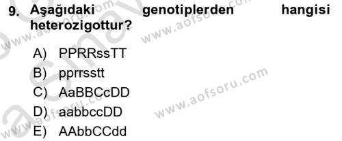 Temel Veteriner Genetik Dersi 2024 - 2025 Yılı (Vize) Ara Sınavı 9. Soru