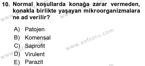 Temel Veteriner Mikrobiyoloji ve İmmünoloji Dersi 2017 - 2018 Yılı 3 Ders Sınavı 10. Soru