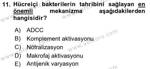 Temel Veteriner Mikrobiyoloji ve İmmünoloji Dersi 2017 - 2018 Yılı 3 Ders Sınavı 11. Soru