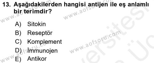 Temel Veteriner Mikrobiyoloji ve İmmünoloji Dersi 2017 - 2018 Yılı 3 Ders Sınavı 13. Soru