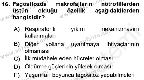 Temel Veteriner Mikrobiyoloji ve İmmünoloji Dersi 2017 - 2018 Yılı 3 Ders Sınavı 16. Soru