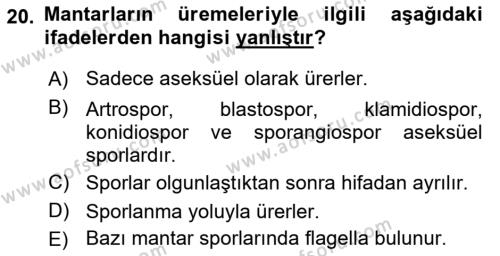 Temel Veteriner Mikrobiyoloji ve İmmünoloji Dersi 2017 - 2018 Yılı 3 Ders Sınavı 20. Soru