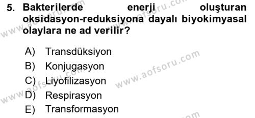 Temel Veteriner Mikrobiyoloji ve İmmünoloji Dersi 2017 - 2018 Yılı 3 Ders Sınavı 5. Soru