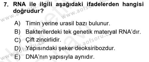 Temel Veteriner Mikrobiyoloji ve İmmünoloji Dersi 2017 - 2018 Yılı 3 Ders Sınavı 7. Soru