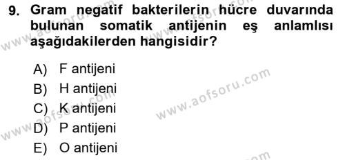 Temel Veteriner Mikrobiyoloji ve İmmünoloji Dersi 2017 - 2018 Yılı 3 Ders Sınavı 9. Soru