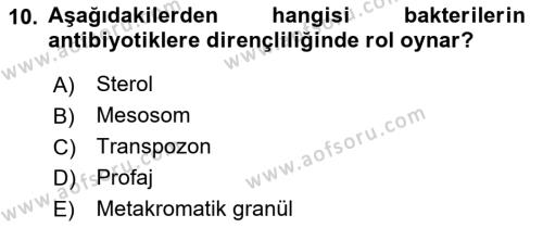 Temel Veteriner Mikrobiyoloji ve İmmünoloji Dersi 2017 - 2018 Yılı (Vize) Ara Sınavı 10. Soru