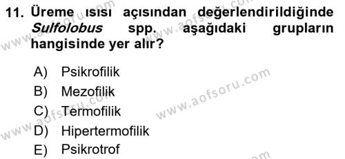 Temel Veteriner Mikrobiyoloji ve İmmünoloji Dersi 2017 - 2018 Yılı (Vize) Ara Sınavı 11. Soru