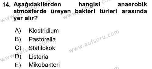 Temel Veteriner Mikrobiyoloji ve İmmünoloji Dersi 2017 - 2018 Yılı (Vize) Ara Sınavı 14. Soru