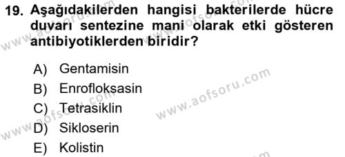 Temel Veteriner Mikrobiyoloji ve İmmünoloji Dersi 2017 - 2018 Yılı (Vize) Ara Sınavı 19. Soru