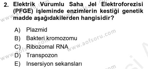 Temel Veteriner Mikrobiyoloji ve İmmünoloji Dersi 2017 - 2018 Yılı (Vize) Ara Sınavı 2. Soru