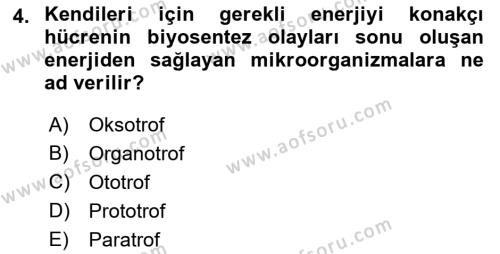 Temel Veteriner Mikrobiyoloji ve İmmünoloji Dersi 2017 - 2018 Yılı (Vize) Ara Sınavı 4. Soru