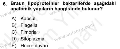 Temel Veteriner Mikrobiyoloji ve İmmünoloji Dersi 2017 - 2018 Yılı (Vize) Ara Sınavı 6. Soru