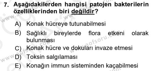 Temel Veteriner Mikrobiyoloji ve İmmünoloji Dersi 2017 - 2018 Yılı (Vize) Ara Sınavı 7. Soru