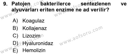 Temel Veteriner Mikrobiyoloji ve İmmünoloji Dersi 2017 - 2018 Yılı (Vize) Ara Sınavı 9. Soru