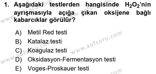 Temel Veteriner Mikrobiyoloji ve İmmünoloji Dersi 2017 - 2018 Yılı (Final) Dönem Sonu Sınavı 1. Soru